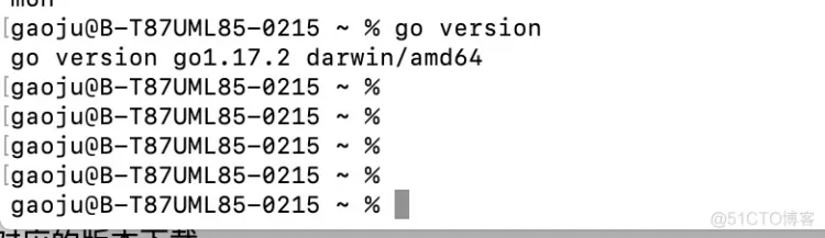使用 VSCode 配置 Go 开发环境_安装配置_02